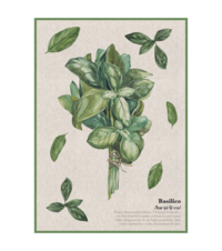 AROMAS TOWEL 50X70 Tellini S.r.l. Wholesale Clothing